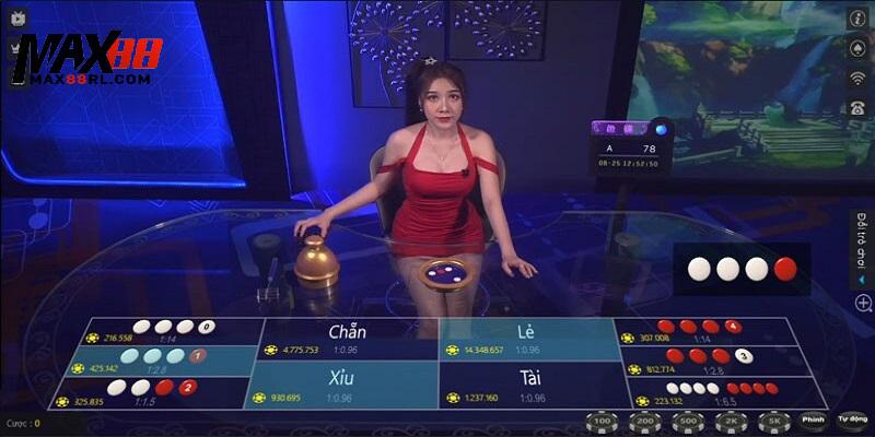 Xóc đĩa Livestream MAX88 và những thông tin sơ bộ cần biết